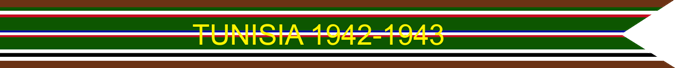 Tunisia 1942–1943 U.S. Army European-African-Middle Eastern Theater Campaign Streamer